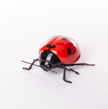 Load image into Gallery viewer, Joaninha (Lady bug)