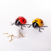 Load image into Gallery viewer, Joaninha (Lady bug)